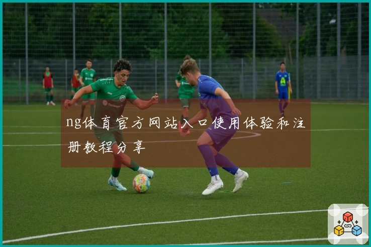 ng体育官方网站入口使用体验和注册教程分享