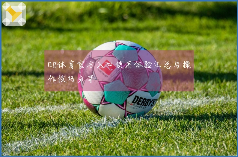 ng体育官方入口使用体验汇总与操作技巧分享