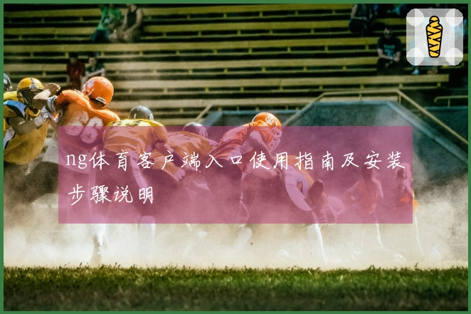ng体育客户端入口使用指南及安装步骤说明