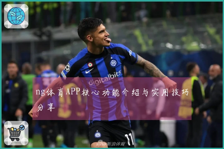 ng体育APP核心功能介绍与实用技巧分享