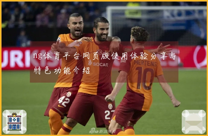 ng体育平台网页版使用体验分享与特色功能介绍